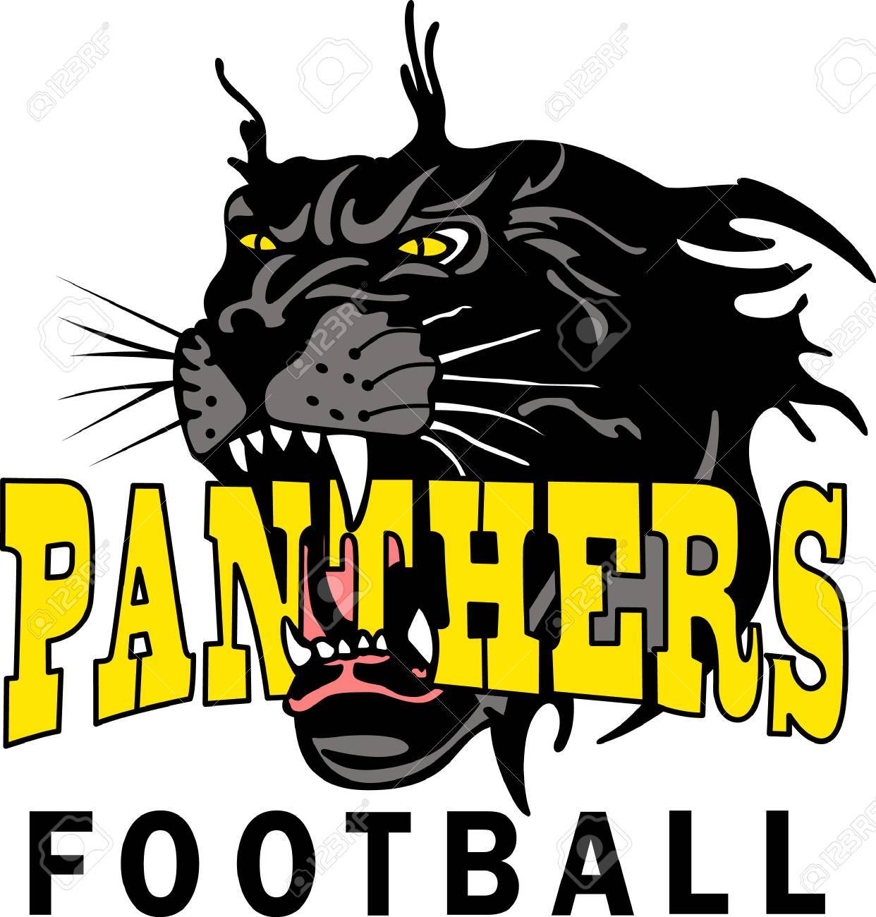 show your team spirit with this panthers logo everyone will