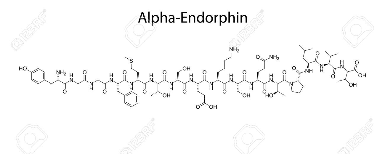 Skeletal Formula Of Alpha-Endorphin. Chemical Molecule. Клипарты, SVG,  векторы, и Набор Иллюстраций Без Оплаты Отчислений. Image 123715801