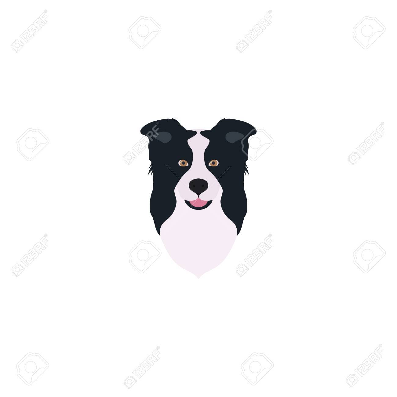 Abstract Vector Illustration Of Border Collie Head Royalty Free Cliparts Vectors And Stock Illustration Image