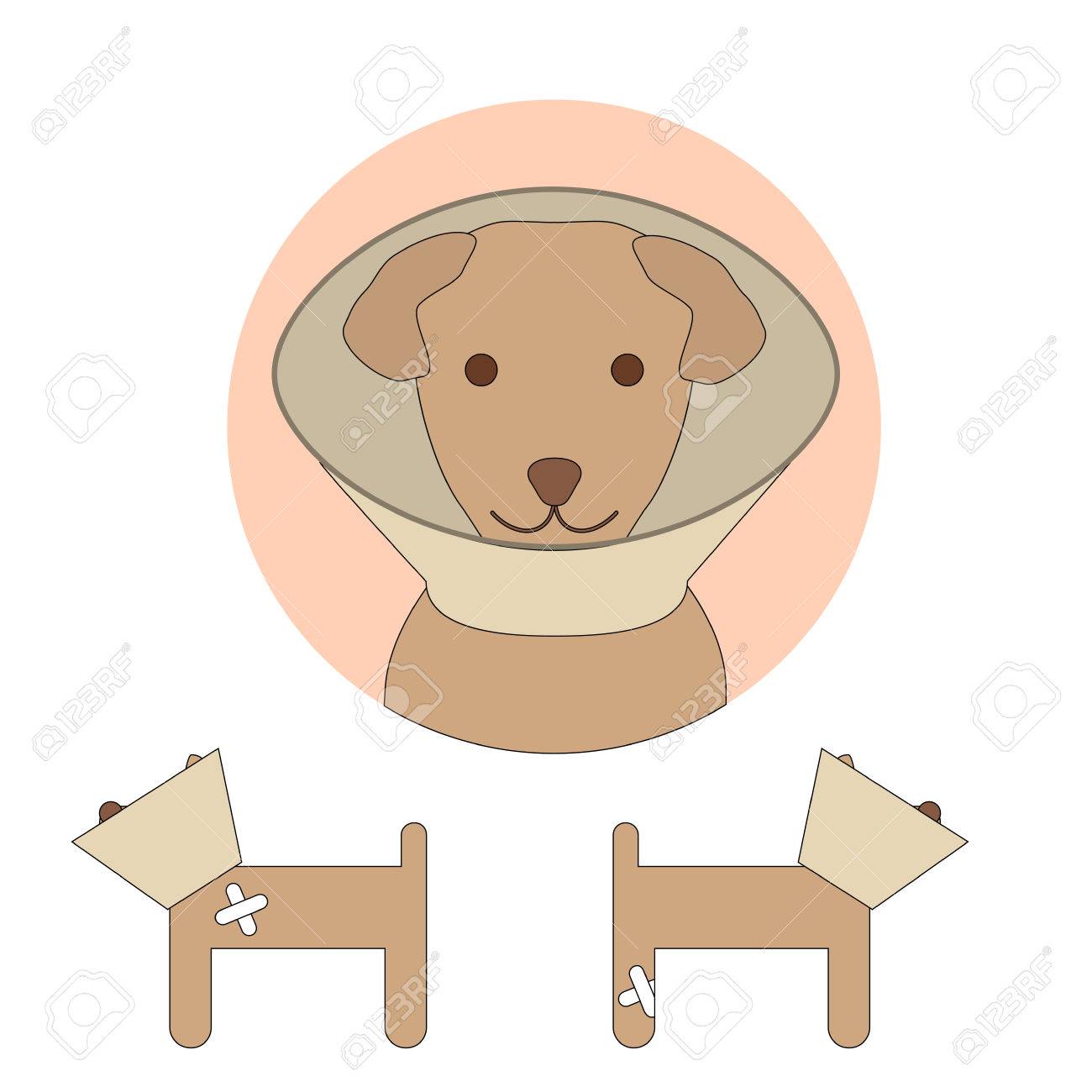 白い背景に分離された犬の E カラー ペットのコーンです 獣医の動物保護のエリザベ スカラーのベクトル イラストのイラスト素材 ベクタ Image