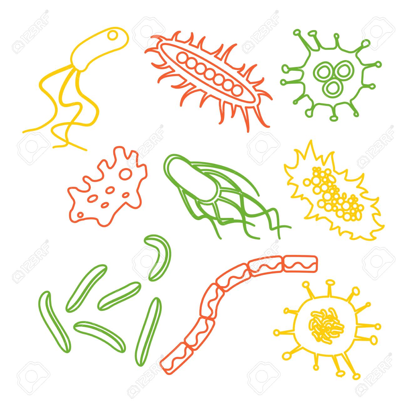 Diferentes Tipos De Bacterias Conjunto Aislado Sobre Fondo Blanco Illlustration Comun Del Vector En Estilo De La Historieta Ilustraciones Vectoriales Clip Art Vectorizado Libre De Derechos Image 69045555