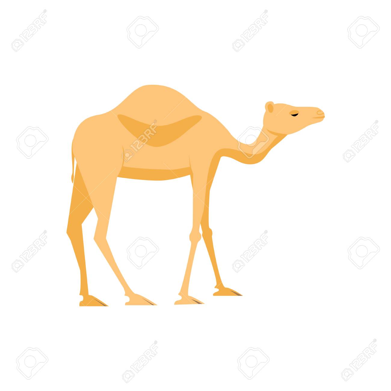 ラクダのアイコン フラット スタイルの白い背景で隔離の哺乳類動物の株式ベクトル イラスト のイラスト素材 ベクタ Image