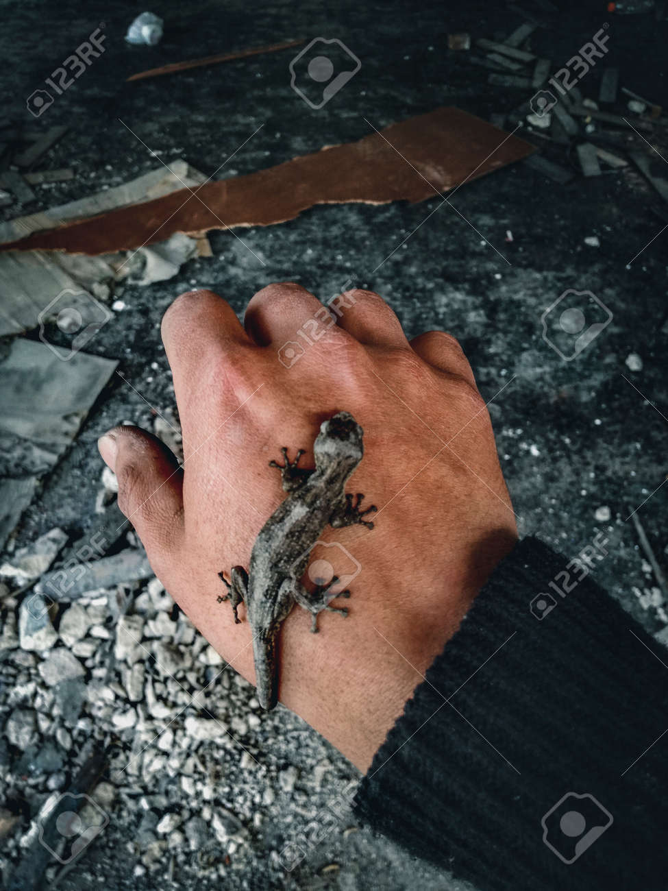 etiam-dictum-ipsum-a-felis