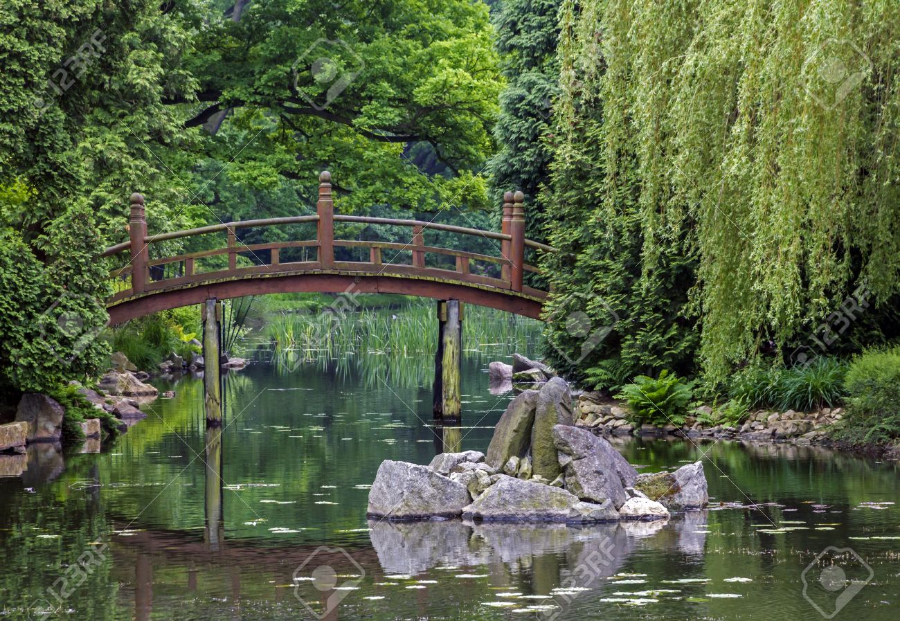 夏の日本庭園の池に鯉と赤い橋♪♪かもの親子