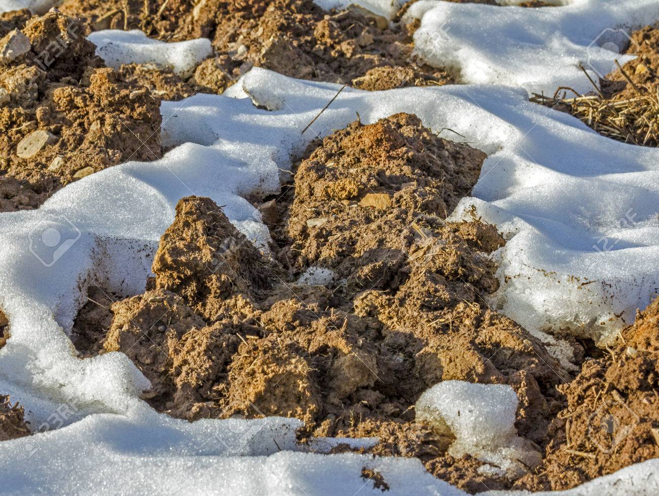 地球の固まりおよび溶ける雪のパッチ 早春のフィールドで地面の写真を閉じる の写真素材 画像素材 Image 地球の固まりおよび溶ける雪のパッチ 早春のフィールドで地面の写真を閉じる の写真素材 画像素材 Image