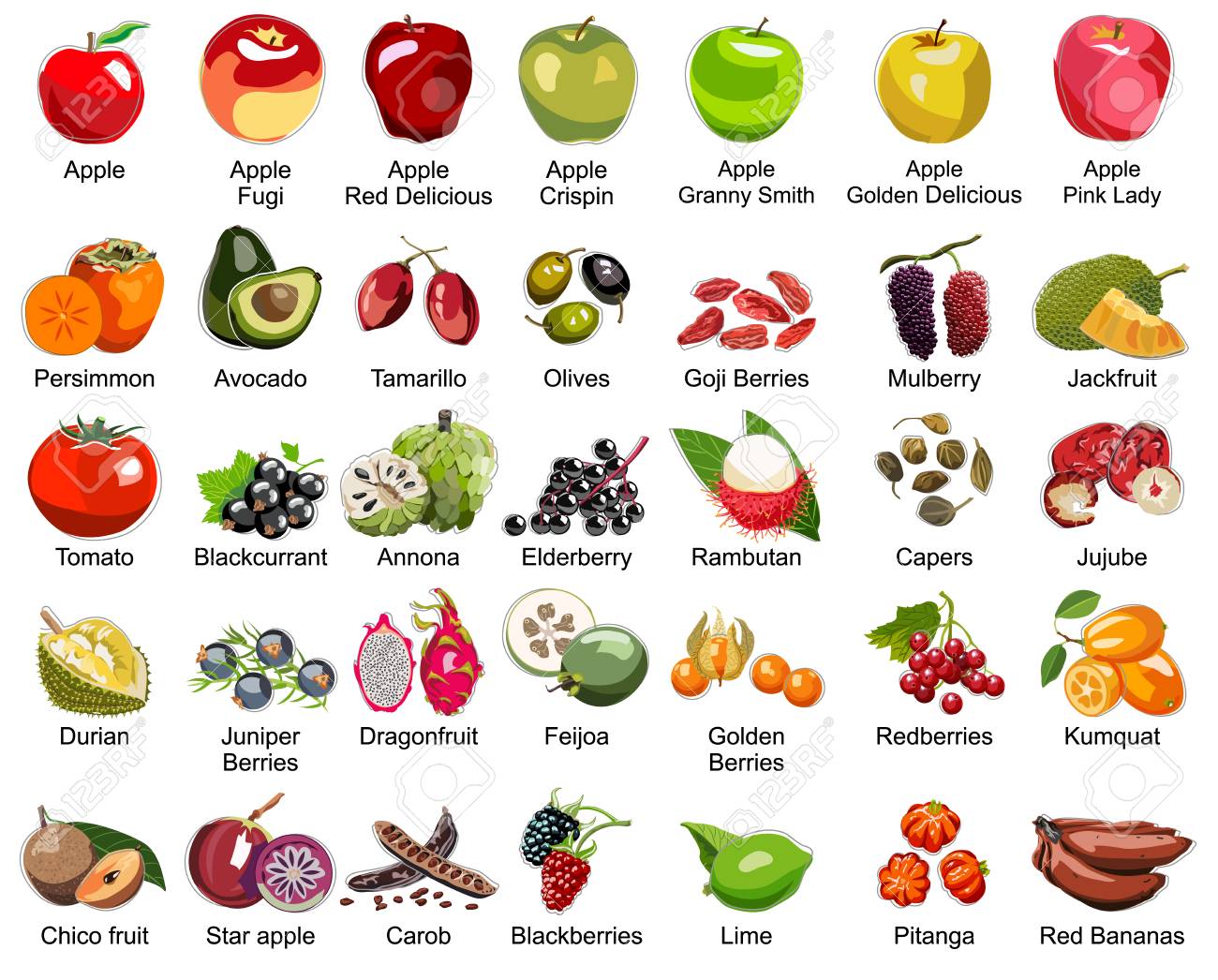 Collection Of 35 Fruits Icons A Part 2 All Types Of Apples And Some Tasty Exotic Fruits Royalty Free Cliparts Vectors And Stock Illustration Image