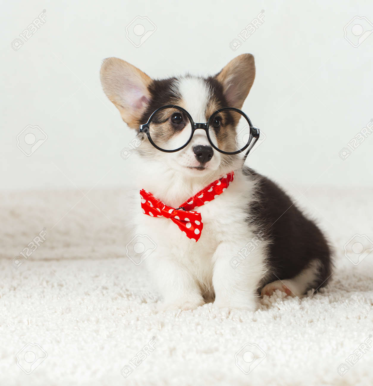 babyliss titanium nitride clipper