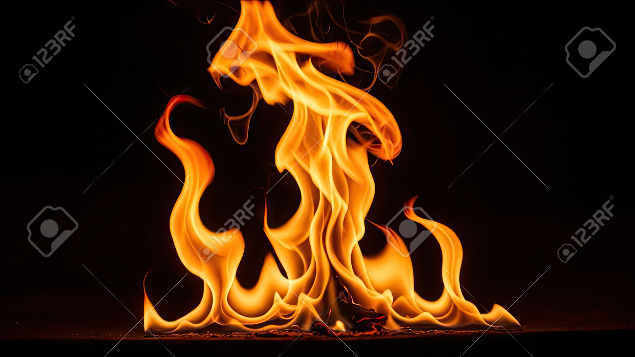 etiam-dictum-ipsum-a-felis