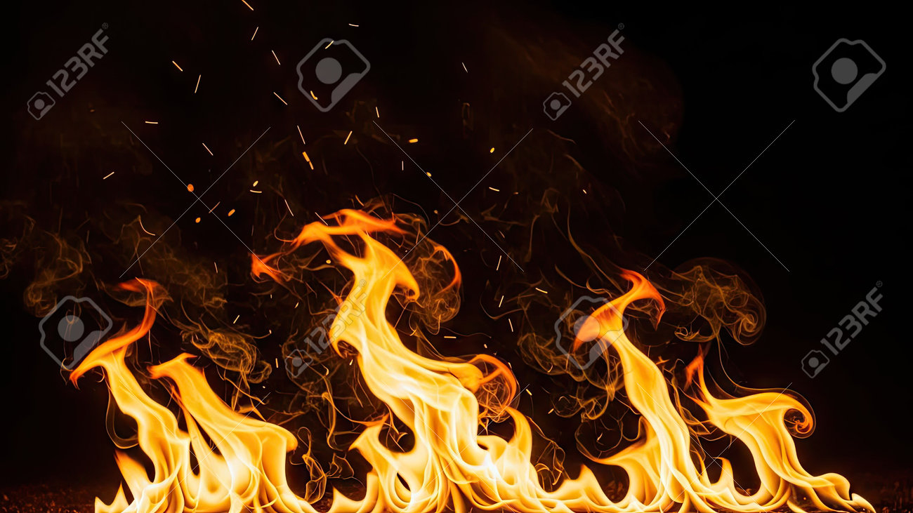 etiam-dictum-ipsum-a-felis