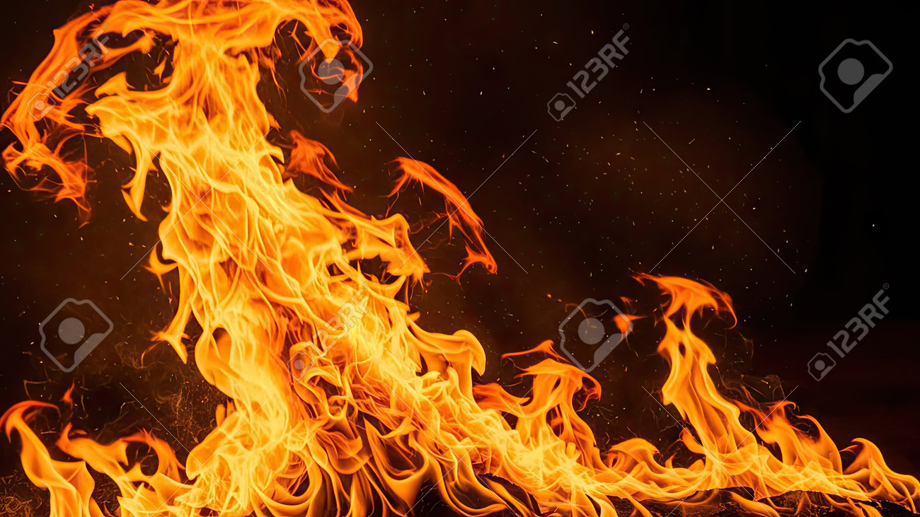 etiam-dictum-ipsum-a-felis