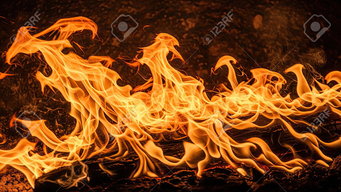 etiam-dictum-ipsum-a-felis