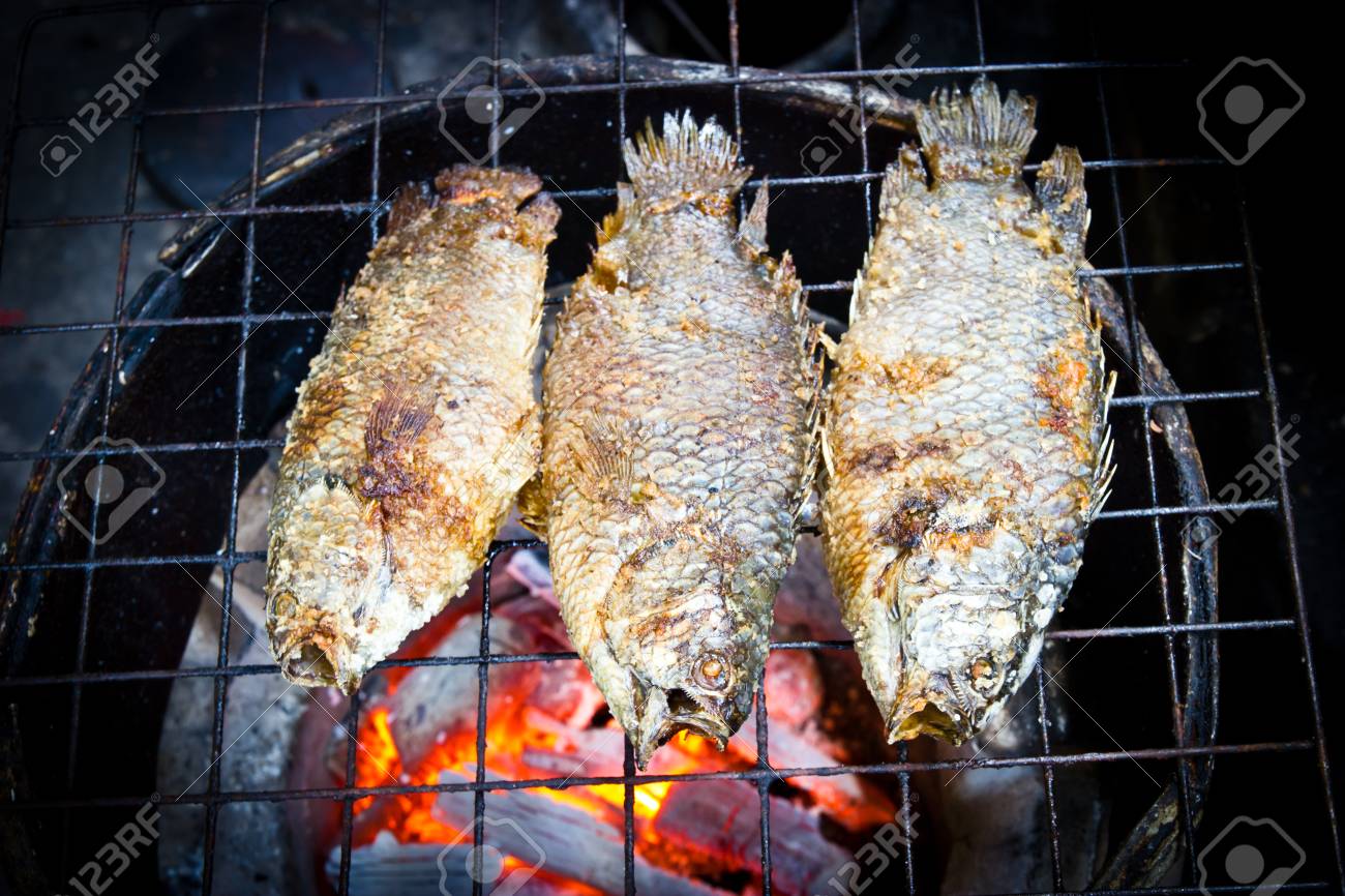 キャンプファイヤーで魚を焼く の写真素材 画像素材 Image