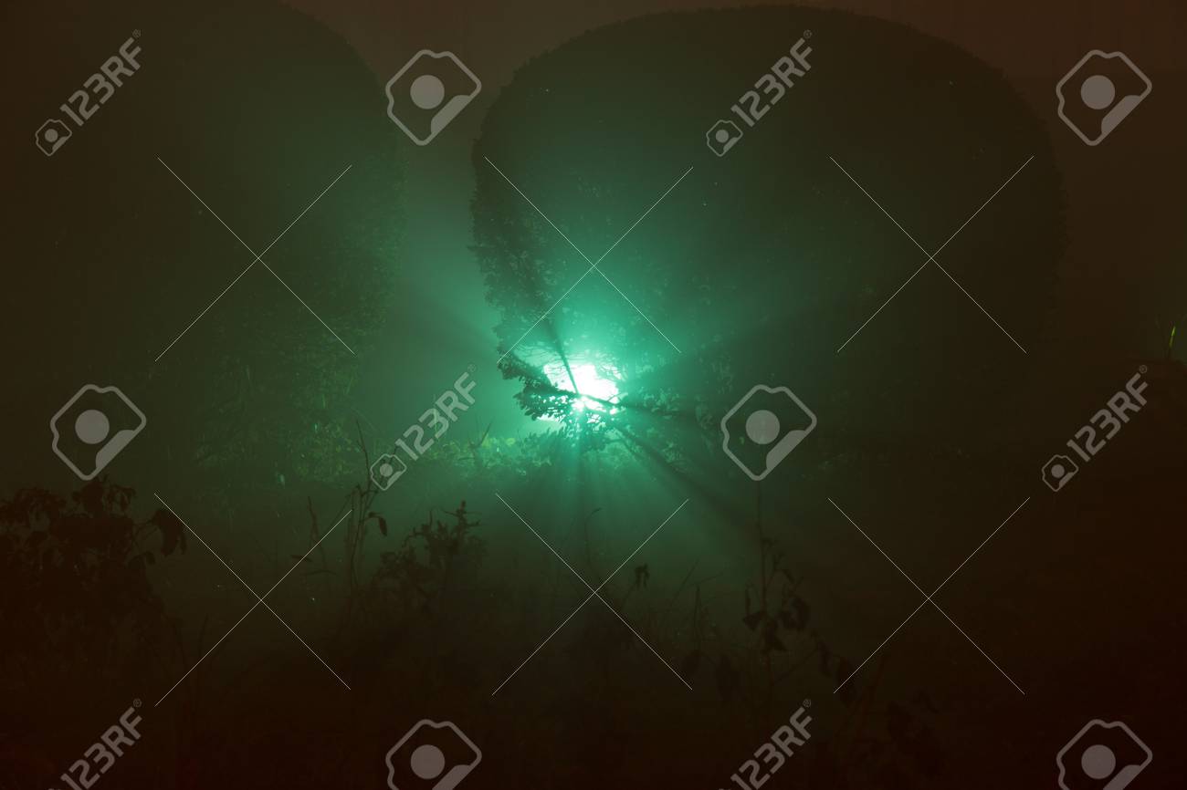 Grunes Licht Durch Einen Busch Macht Einen Tyndall Effekt Lizenzfreie Fotos Bilder Und Stock Fotografie Image 77167058