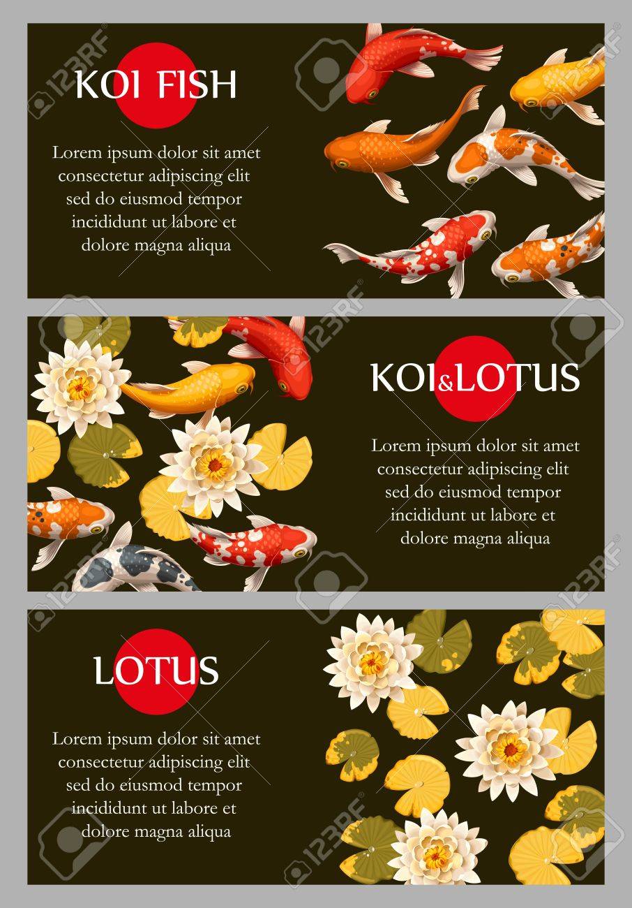 Vector cards with koi fish and lotus, with copy space - 63388722 Vector cards with koi fish and lotus, with copy space - 63388722