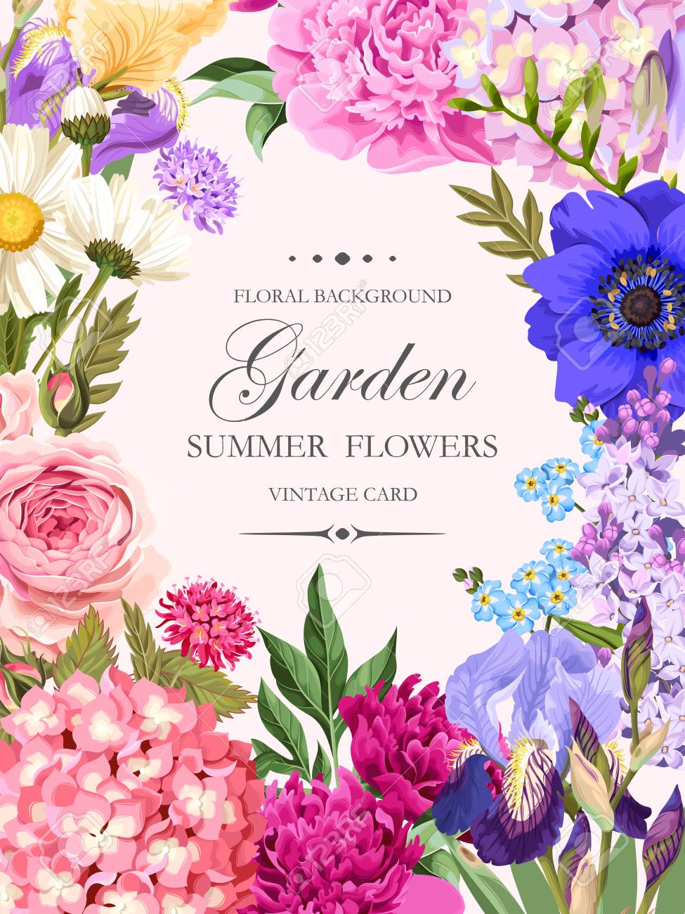 Vintage card with garden flowers - 80227456 Vintage card with garden flowers - 80227456