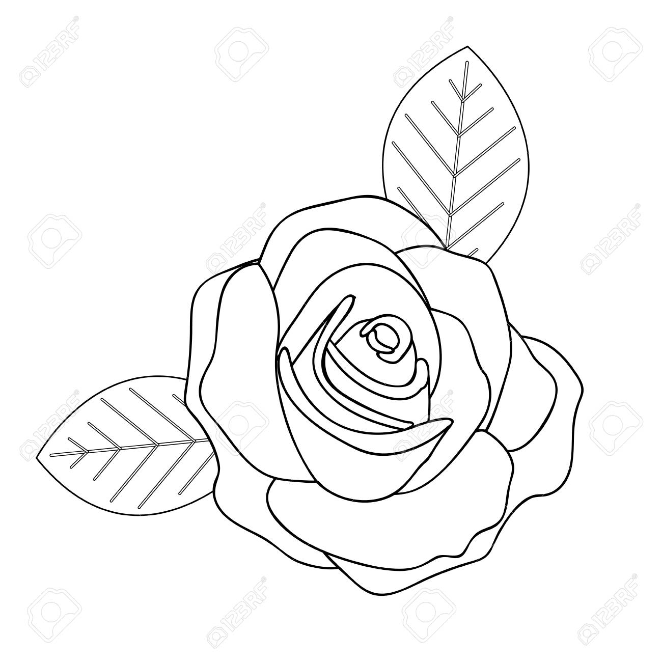 バラの線画画像ベクトル イラスト デザインのイラスト素材 ベクタ Image バラの線画画像ベクトル イラスト デザインのイラスト素材 ベクタ Image