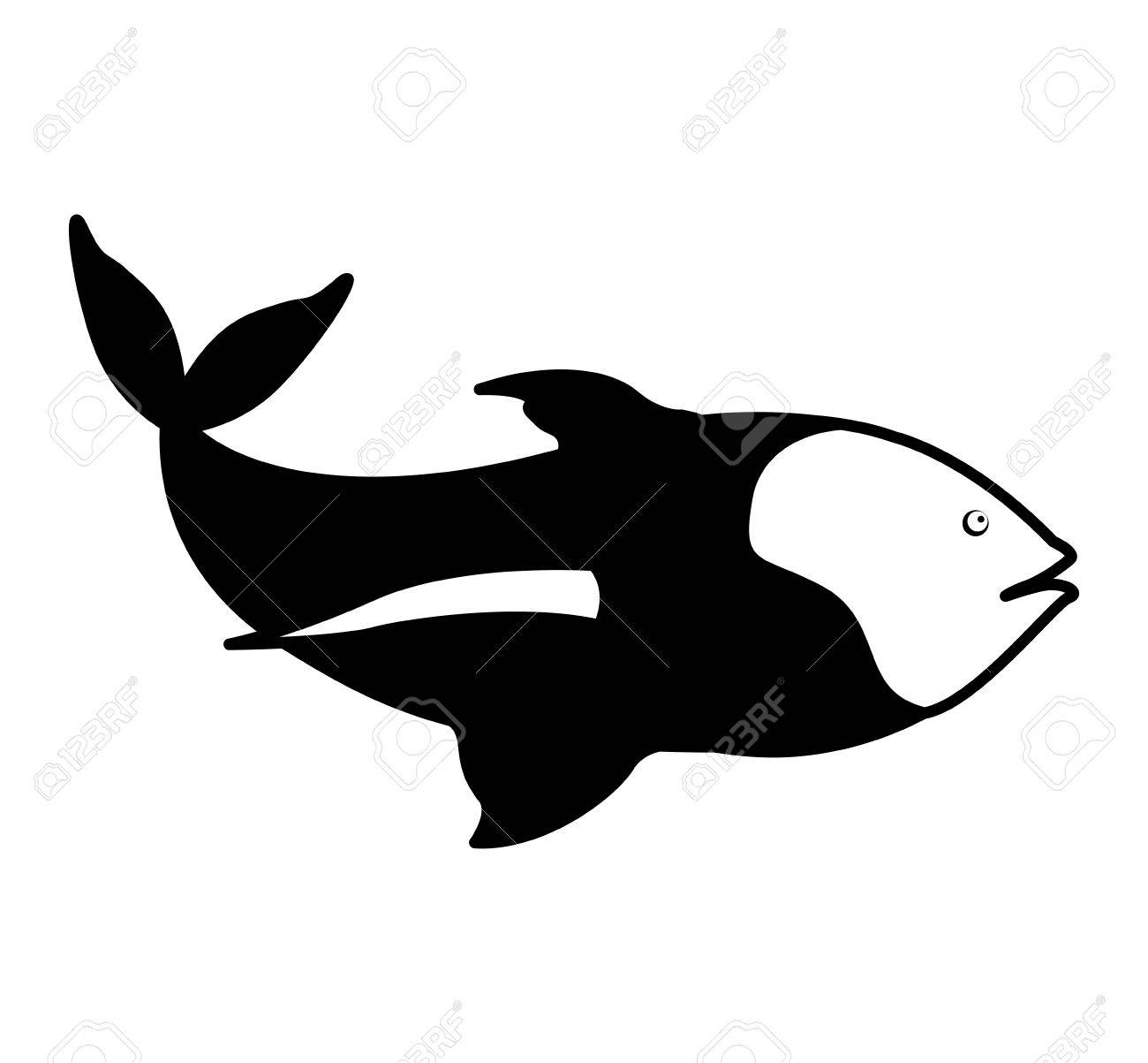海の魚を尾を持つとモノクロのシルエット ベクトル図のイラスト素材 ベクタ Image 海の魚を尾を持つとモノクロのシルエット ベクトル図のイラスト素材 ベクタ Image