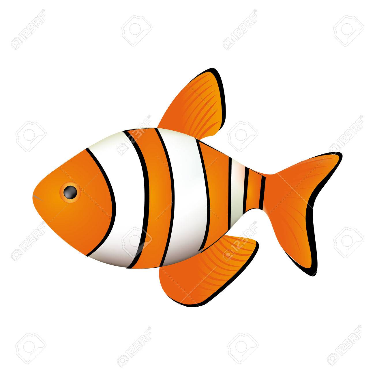 カラフルな画像クマノミ Acuatic 動物のベクトル図 のイラスト素材 ベクタ Image