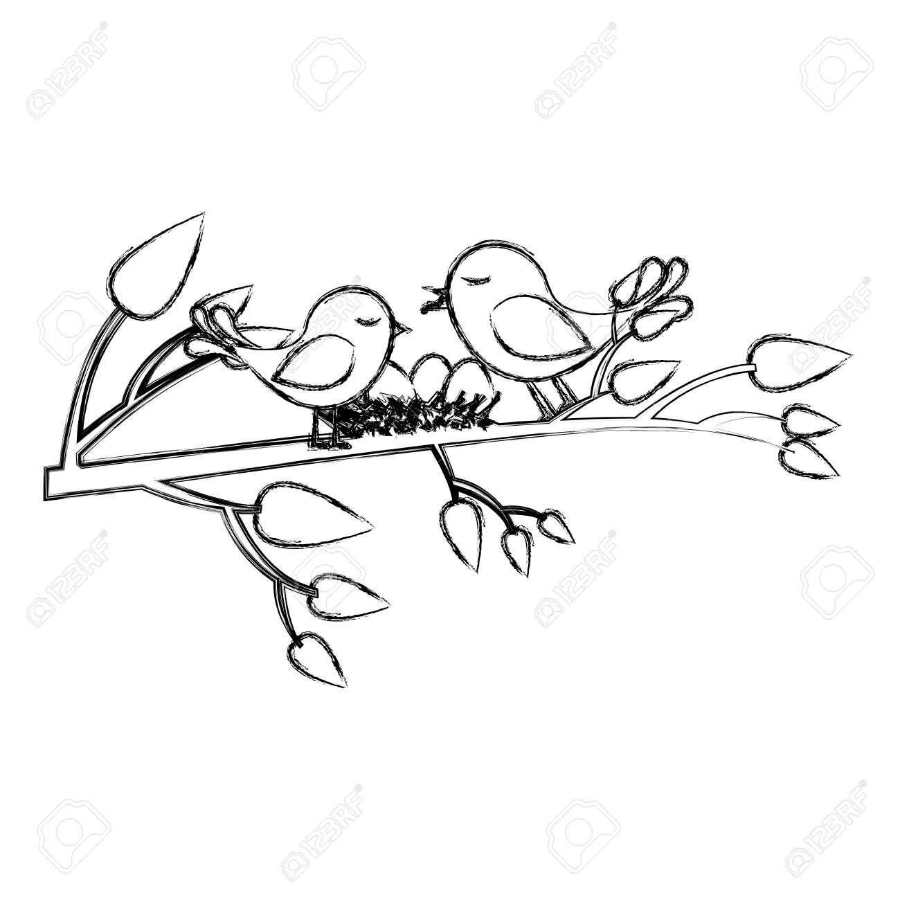 Monochrome Sketch Of Birds And Nest In Tree Branch Vector Illustration