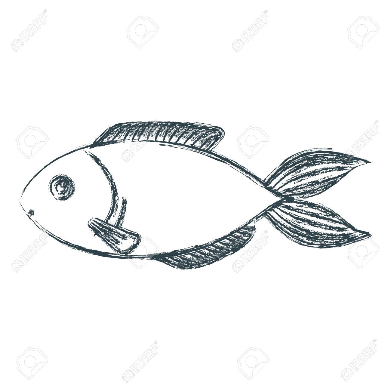 fish vector