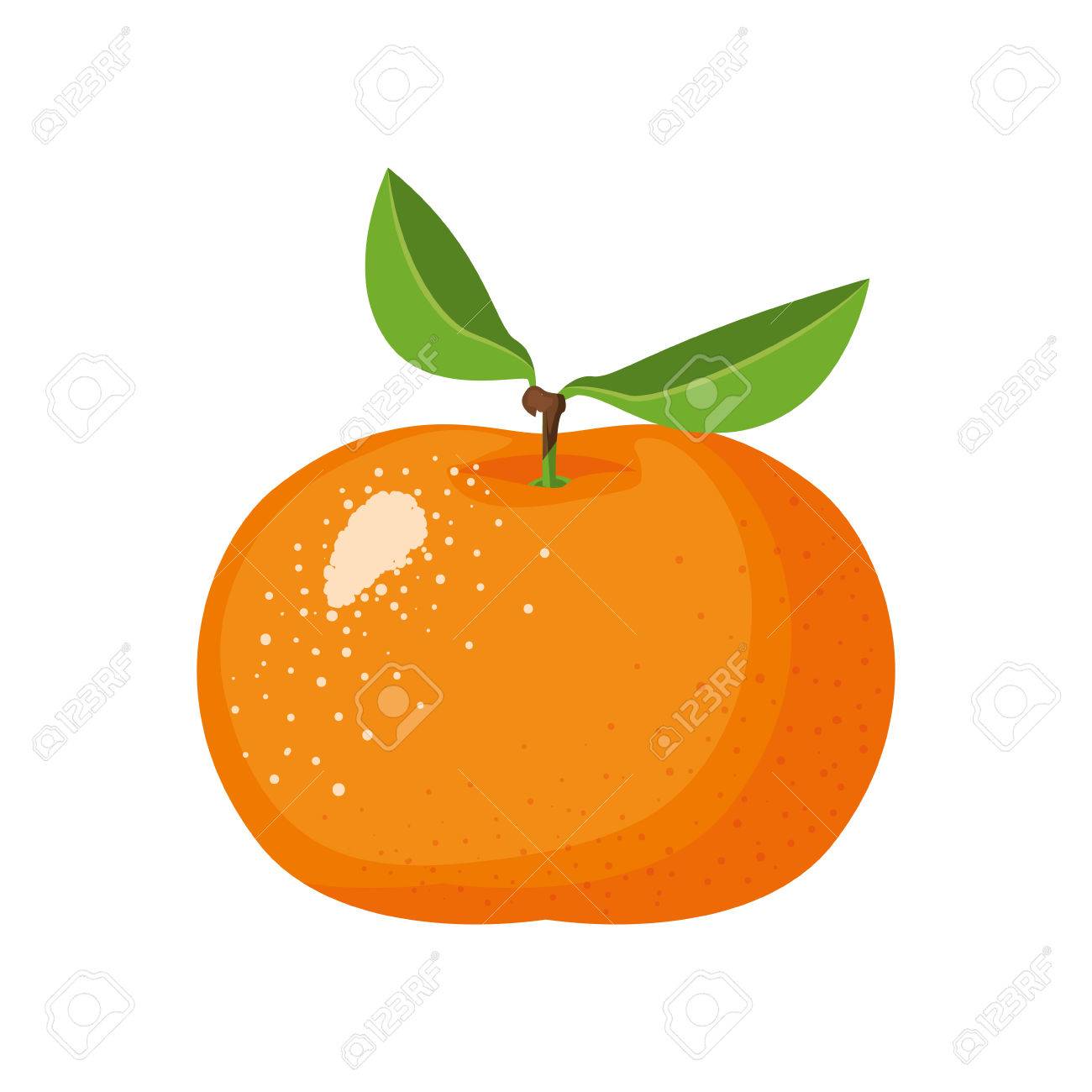 white background with realistic tangerine fruit vector illustration - 82402389 white background with realistic tangerine fruit vector illustration - 82402389