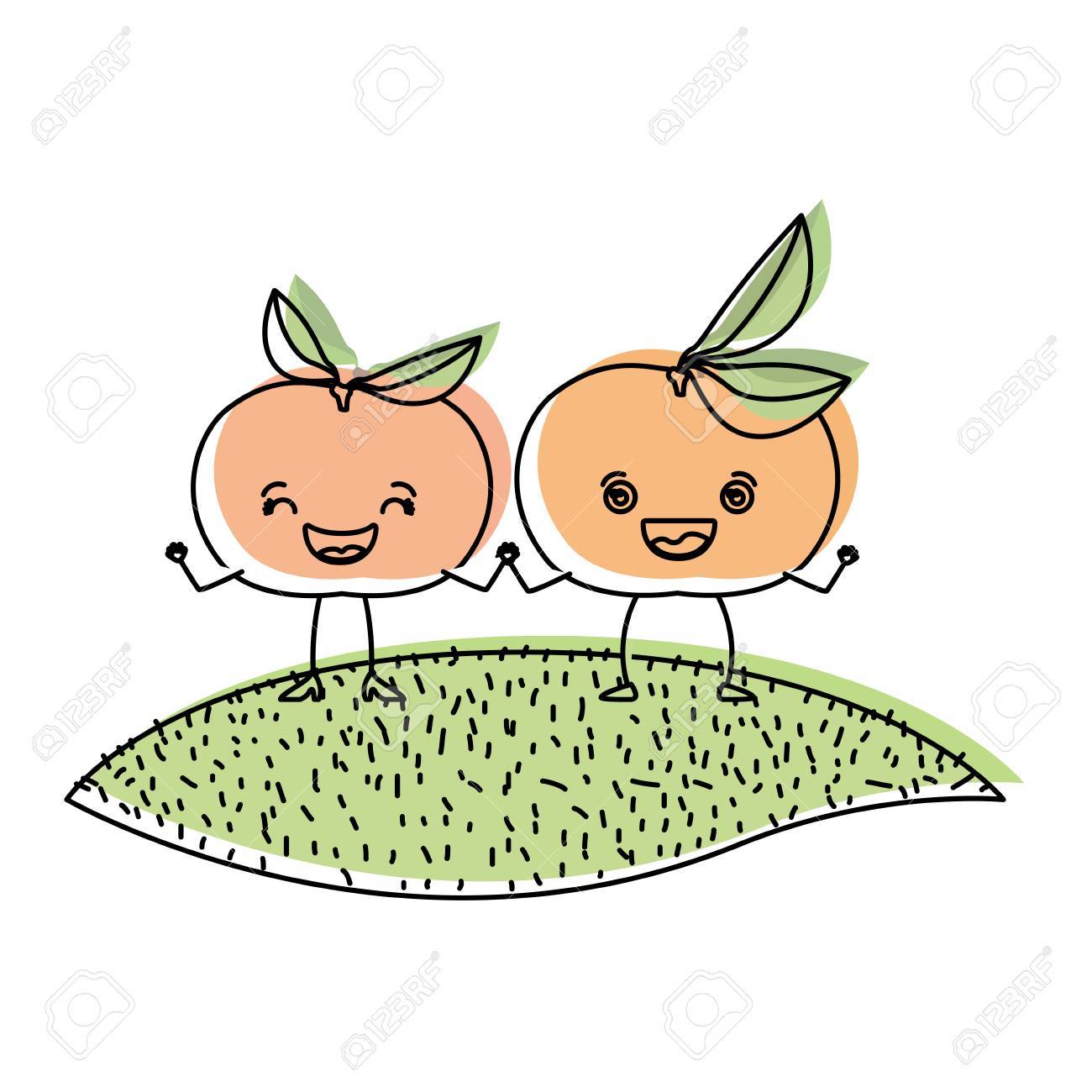 草のベクトル図にみかん果物似顔絵のペアの水彩のシルエットと白い背景のイラスト素材 ベクタ Image 5941