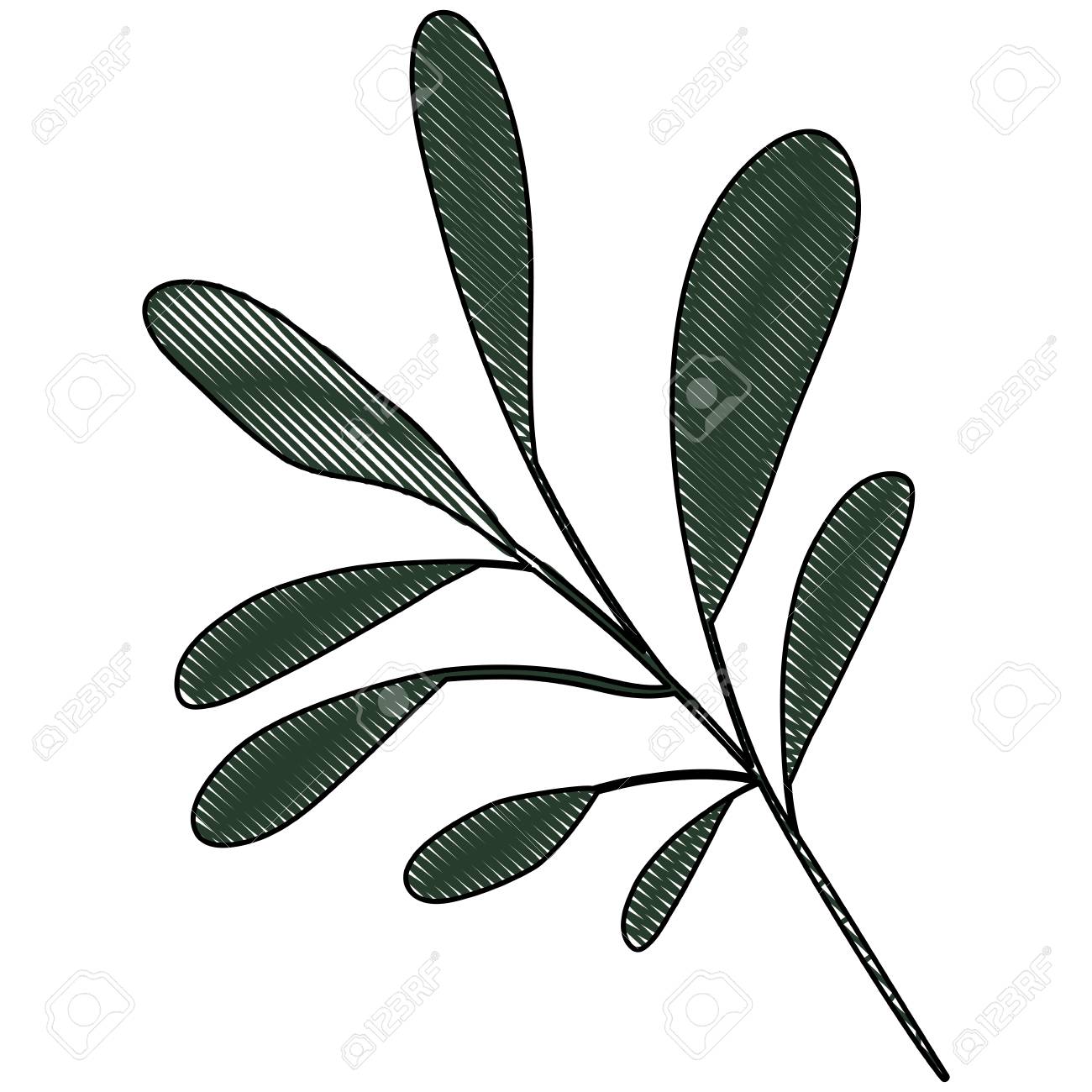 楕円形の枝の色クレヨン シルエットの白い背景の葉ベクター イラスト のイラスト素材 ベクタ Image