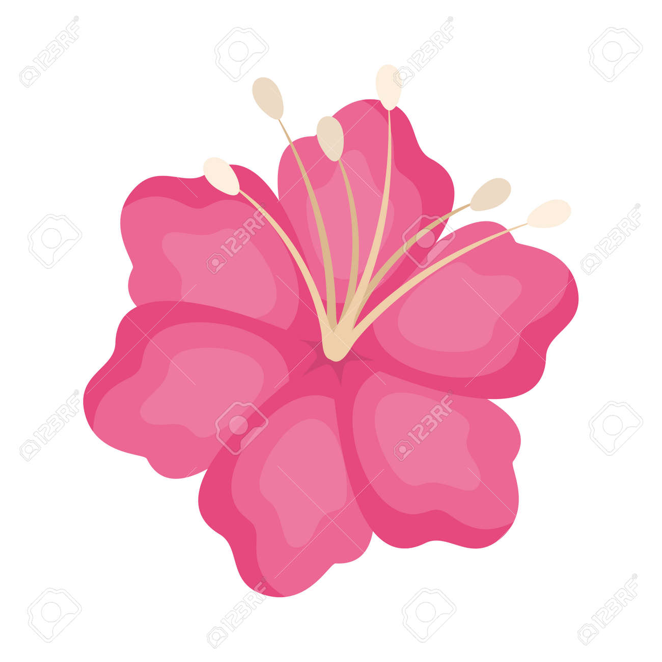 Pink Hawaiian Flower Design, Natural Floral Nature Plant