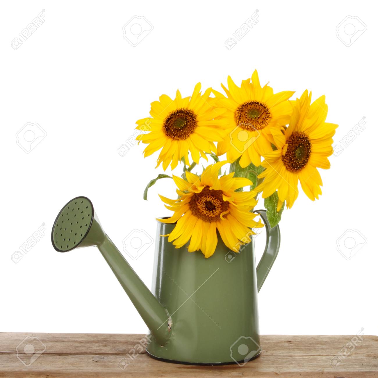 Sunflowers in Watering Can #1 Lace Flower Garden Wall Picture 8x10 Art Print Sunflowers in Watering Can #1 Lace Flower Garden Wall Picture 8x10 Art Print