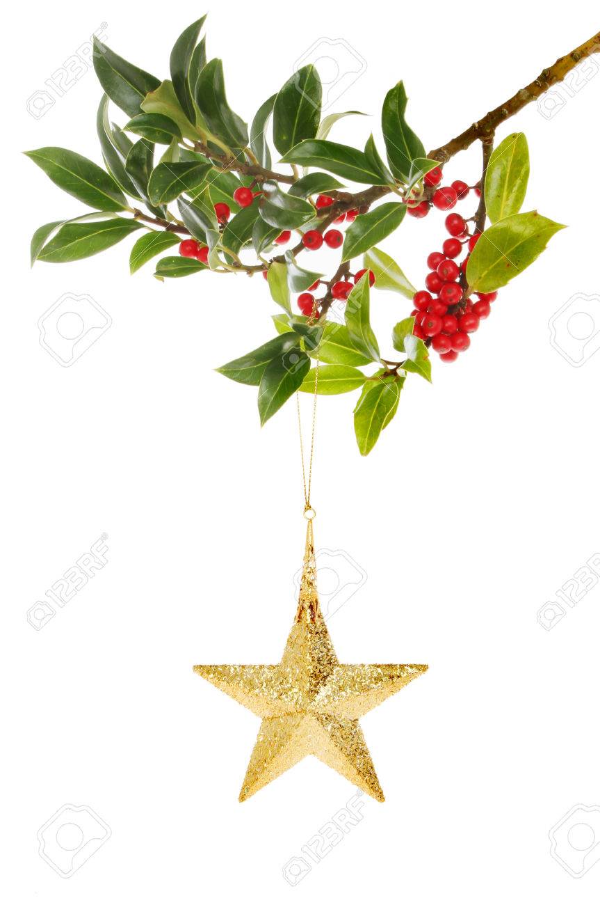 熟した赤い果実を刺した柊の枝からぶら下がっている金の星クリスマスの装飾 の写真素材 画像素材 Image
