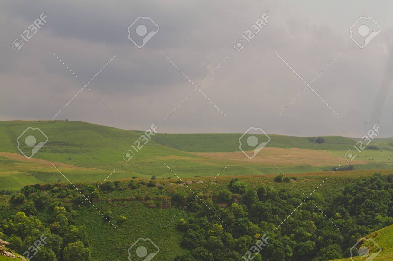 etiam-dictum-ipsum-a-felis