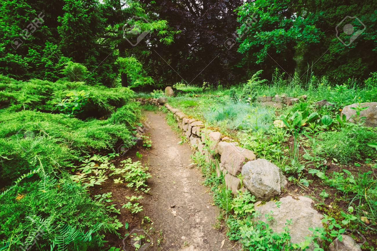 緑の木々 と庭の茂みの通路車線道 公園の美しい路地 の写真素材 画像素材 Image