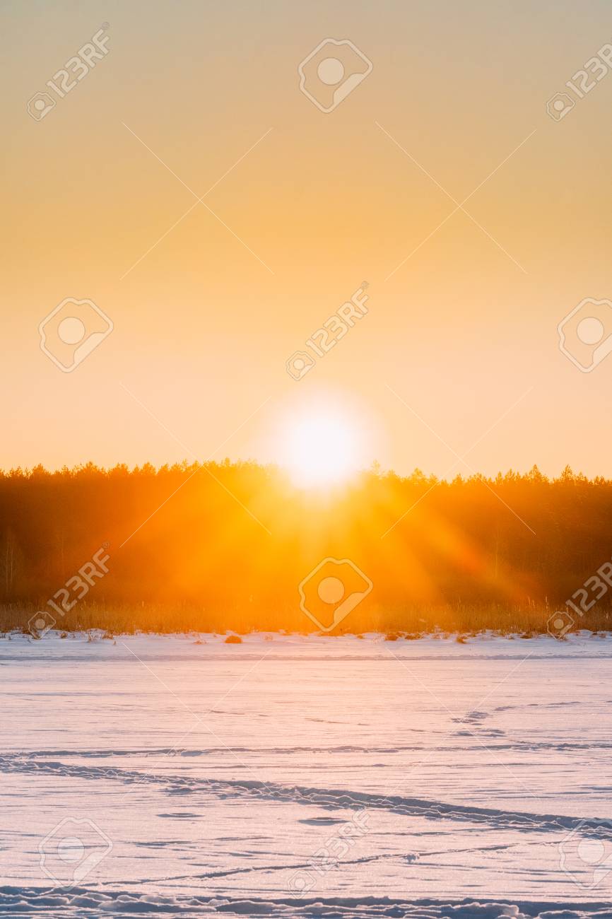 オレンジ色の夕焼け空と太陽に森の地平線 自然な色 O の写真素材 画像素材 Image