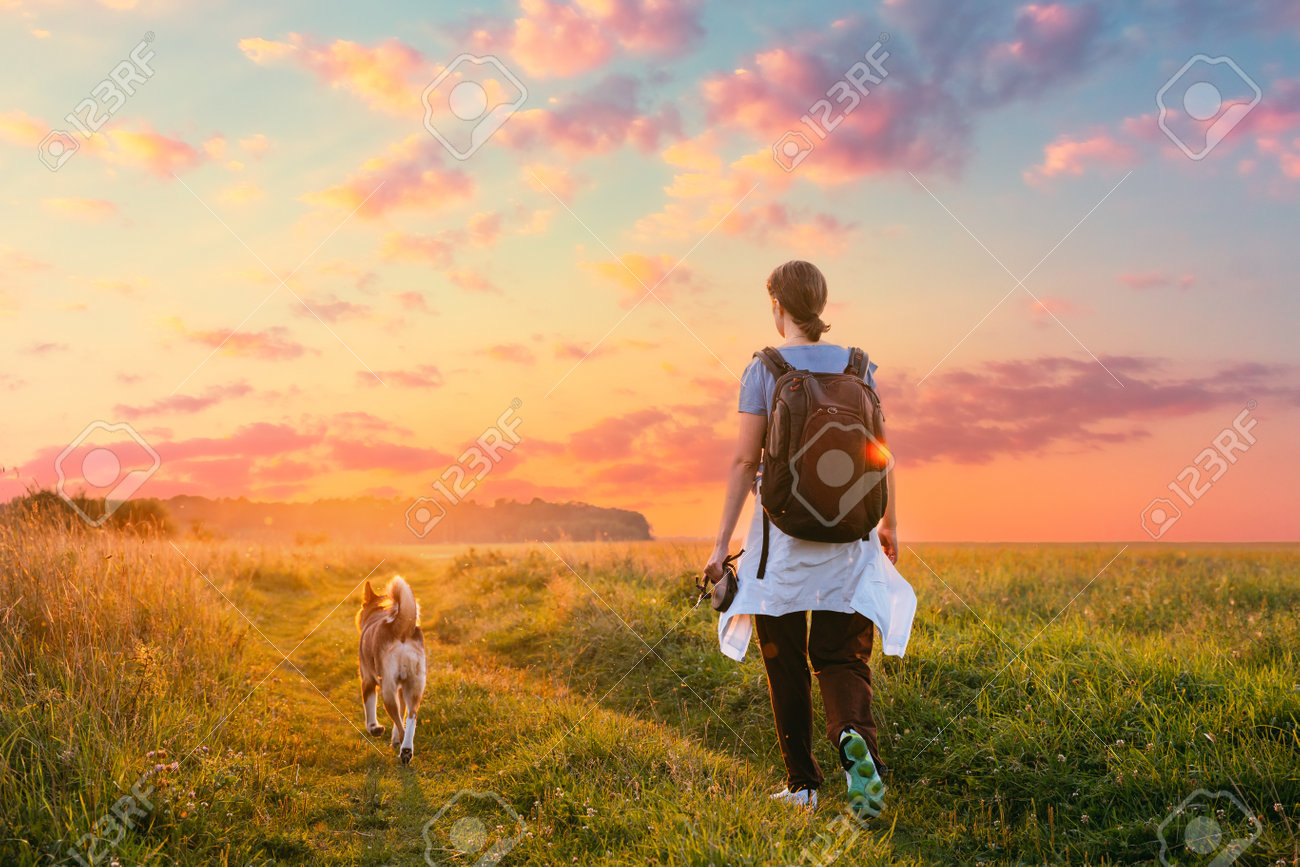 https://previews.123rf.com/images/grigory_bruev/grigory_bruev2302/grigory_bruev230201419/199419320-young-woman-walking-with-dog-in-summer-meadow-grass-during-sunset-sunrise-time-healthy-lifestyle.jpg
