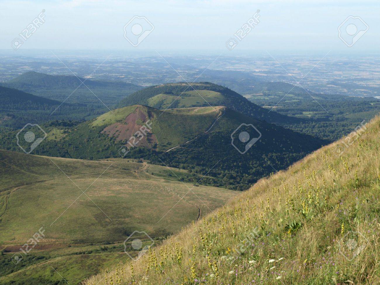 etiam-dictum-ipsum-a-felis