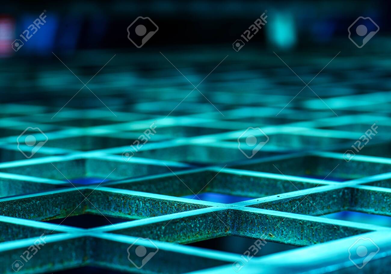 etiam-dictum-ipsum-a-felis