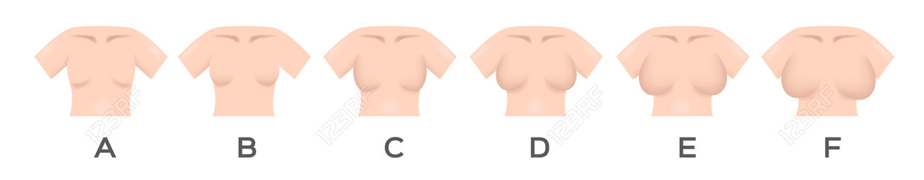 Breast e size Clearance