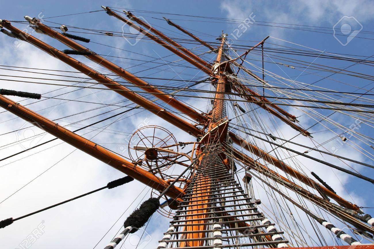 etiam-dictum-ipsum-a-felis