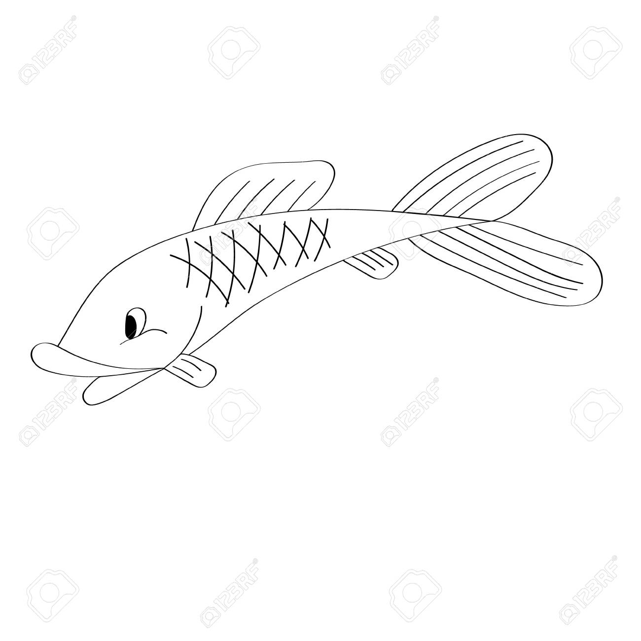 The Fish Of The Sea Or River Coloring Pages For Adults Or Children Black Royalty Free Cliparts Vectors And Stock Illustration Image 145060478