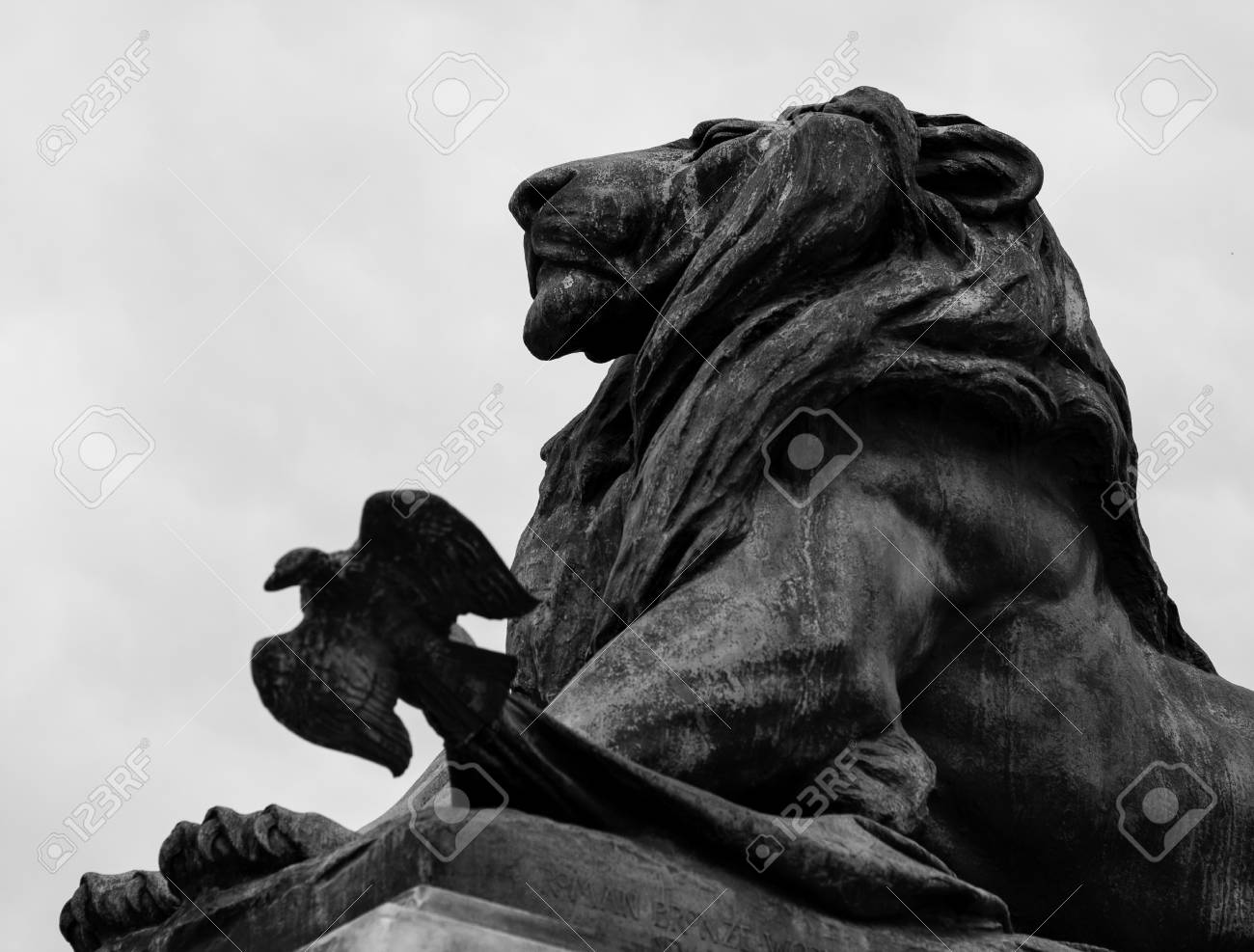 etiam-dictum-ipsum-a-felis
