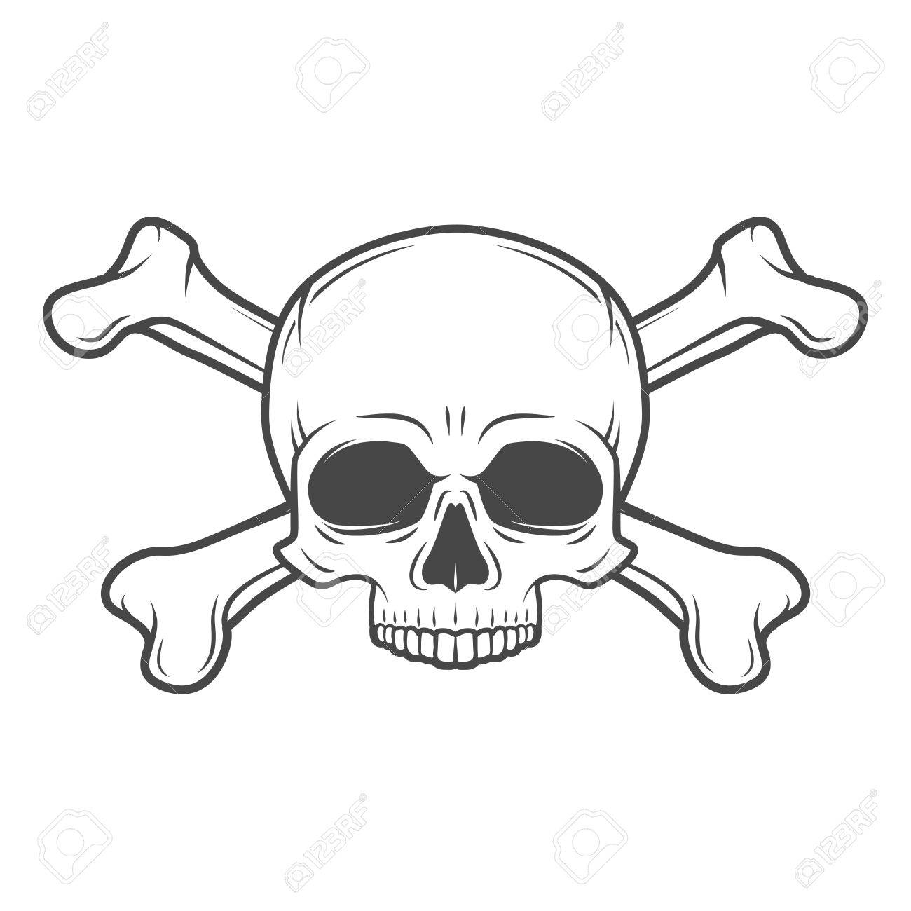 free skull vector