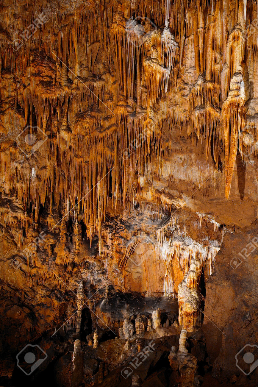 etiam-dictum-ipsum-a-felis