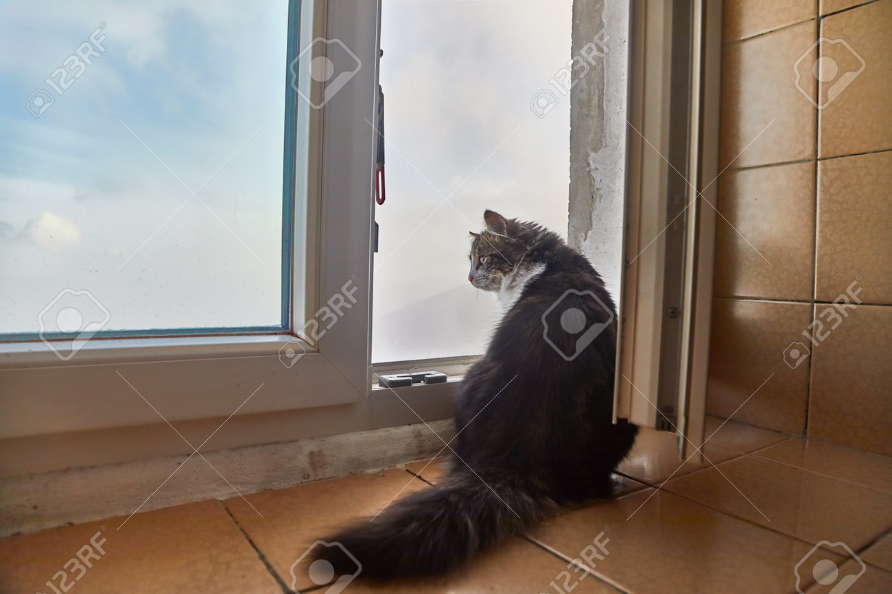 etiam-dictum-ipsum-a-felis