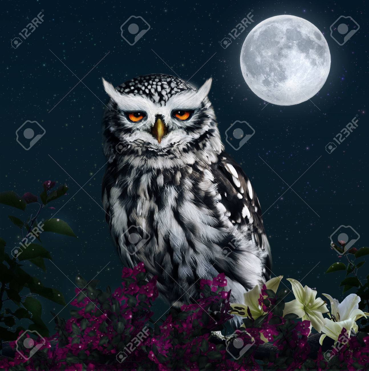 Photomanipulation of an owl at night with full moon - 30840768 Photomanipulation of an owl at night with full moon - 30840768
