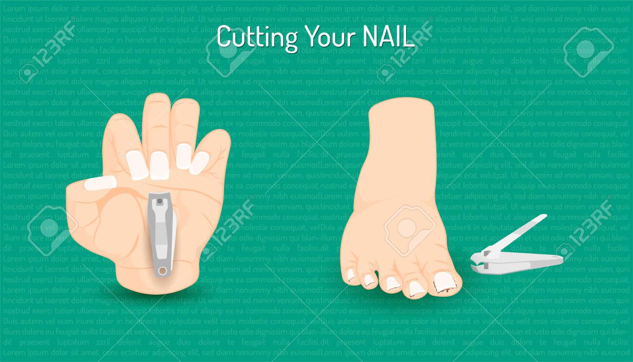 Cutting Hand And Foot Nail. Body Part Beautiful Color. Vector Illustration Eps10 Royalty Free SVG, Cliparts, Vectors, And Stock Illustration. Image 132598395. Cutting Hand And Foot Nail. Body Part Beautiful Color. Vector Illustration Eps10 Royalty Free SVG, Cliparts, Vectors, And Stock Illustration. Image 132598395.