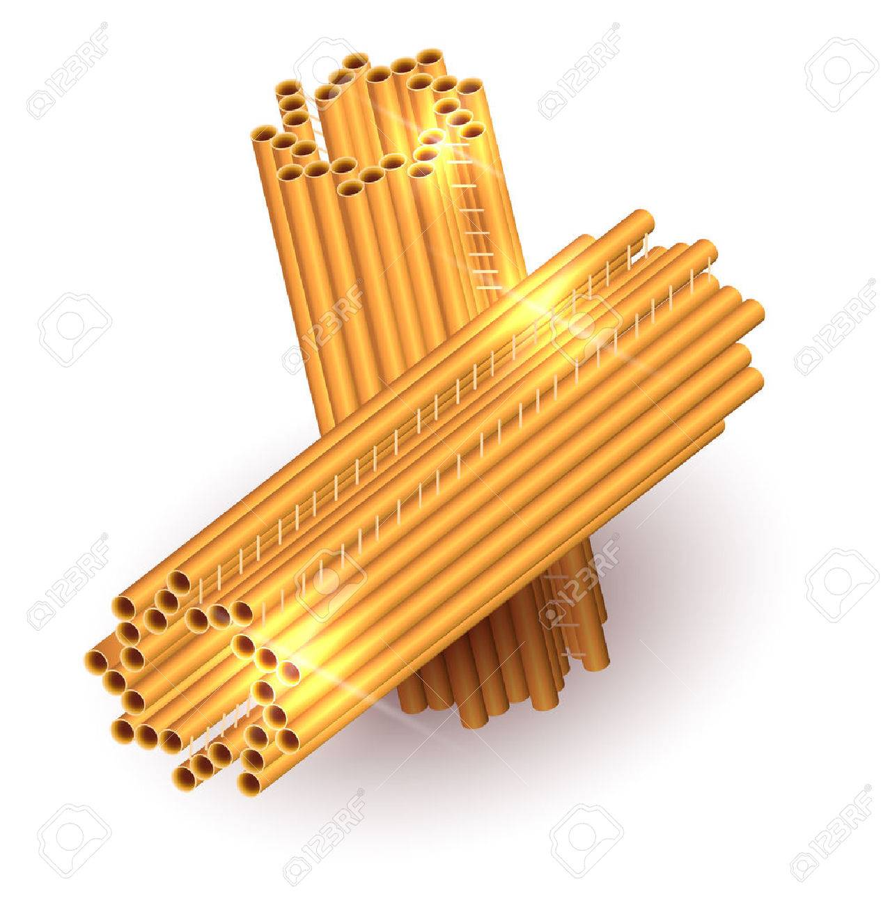 中心体の解剖学 中心体は 細胞の一部です のイラスト素材 ベクタ Image