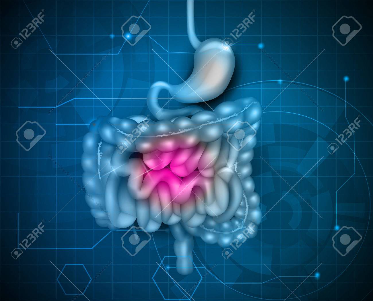 Gastrointestinal tract. Stomach, small intestine and colon, abstract blue technology background. Beautiful bright illustration. - 56849663 Gastrointestinal tract. Stomach, small intestine and colon, abstract blue technology background. Beautiful bright illustration. - 56849663