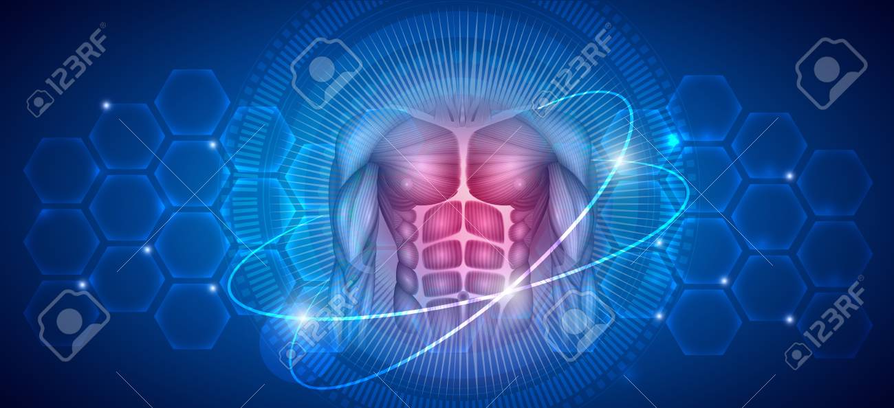 Human body Muscles, healthy lifestyle and fitness abstract scientific background - 125473516 Human body Muscles, healthy lifestyle and fitness abstract scientific background - 125473516