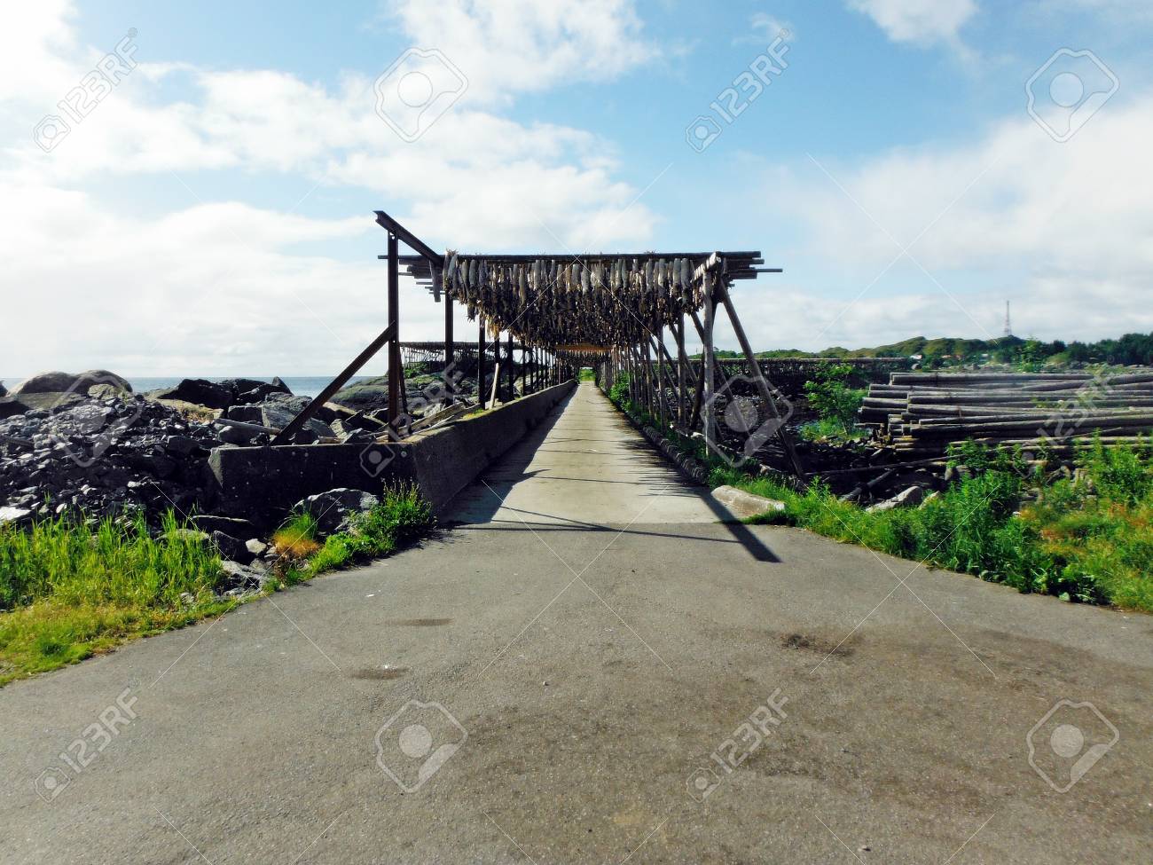 モスケネス ノルウェー ヨーロッパで干し魚 の写真素材 画像素材 Image モスケネス ノルウェー ヨーロッパで干し魚 の写真素材 画像素材 Image
