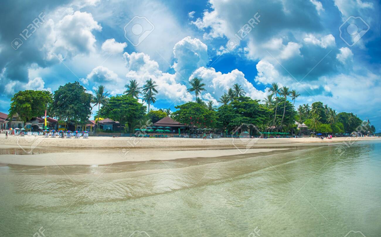 Idyllic Tropical Beach Palm White Sand And Crystal Clear Water